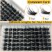 Shop Kmilro Lash Clusters - 72 Pcs DIY Eyelash Extensions C D Curl 10-16mm Mega Volume Fluffy & Natural - Perfect for At Home Use - Buy Online on GoSupps.com