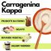 SaporePuro Carragh nane Kappa en Poudre 1000 g Sans Gluten G lifiant et Stabilisant pour Pr parations Sal es Viandes Gel es et Desserts - Buy Online on GoSupps.com