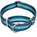 Dazzber martingale collars for dogs turquoise green neck circumference 27.9 cm - 38.1 cm hard -wearing no pulling no escaping dog collar for small to medium -sized dogs small 5/8 inch wide turquoise green
