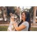 ShengKou Natural Flea & Tick Collar for Large Dogs - 2 Pack with Essential Oils - Buy Online on GoSupps.com