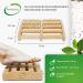 Health Zone Birch Wood Foot Massage Roller | Reflex Zone Therapy Device with Bag & Instructions - Buy Online on GoSupps.com