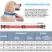 Haapaw Reflecting Dog Collar - Padded Neoprene Breathable Nylon for Small & Medium Dogs - Red (M 1-Pack) - Buy Online on GoSupps.com