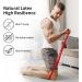 PROIRON Resistance Bands Set - 5 Exercise Bands for Men and Women with Guide and Carrying Bag - Buy Online on GoSupps.com