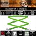 DDOXX Reflective Nylon Dog Leash - 2m 3-Way Adjustable for All Dog Sizes - M Green - Durable & Stylish Pet Accessory - Buy Online on GoSupps.com