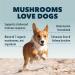 Four Leaf Rover Seven 'Shrooms - Organic Mushroom Complex for Dogs - Immune Support with Beta Glucans - Vet Formulated - Buy Online on GoSupps.com