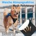 Rabbitgoo Breaking-Proof Dog Harness for Medium Dogs - Breathable Adjustable Padded Vest with Handle - Safe & Comfortable - Blue M - Buy Online on GoSupps.com