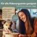 Animalius BARF Complete Oil for Dogs - Premium Salmon & Natural Oils Supplement (500ml) - Ideal for Healthy Diet - Buy Online on GoSupps.com