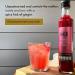 Scottish Bee Co. 250ml Raspberry & Ginger Shrub Cordial | Apple Cider Vinegar Infused | Made in Scotland - Buy Online on GoSupps.com