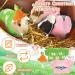 Easter Guinea Pig Outfit Set: 4 Pieces Clothes, Hats for Small Animals - Buy Online on GoSupps.com