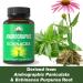 Immune Respiratory Support Capsules - Andrographis & Echinacea Complex for Respiratory Health | Vegan Friendly - Buy Online on GoSupps.com