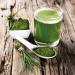 Organic Barley Grass Powder 400g - Raw Vegan Superfood | German Cultivation | No Additives | Great Vita - Buy Online on GoSupps.com