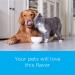 PHA Hairball Remedy for Cats - Natural Digestive Health Supplement (100 ML) - Buy Online on GoSupps.com