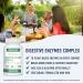 Digestive Enzymes Supplement for Gas & Bloating Relief | Supports Nutrient Absorption | Vegetarian | 60 Capsules - Buy Online on GoSupps.com