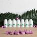 Siveno All Natural Deodorant Roll-On | Aluminum Free Deodorant for Women & Men | Organic Vegan | Fresh Non Staining Non Irritating | Cruelty Free Non Toxic Paraben Free | Coconut Oil Pack of 1 Coconut 1.76 Fl Oz (Pack of 1) - Buy Online on GoSupps.com