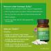 Victilabs Leber Complex Daily - Vegan Liver Support | Artichoke Dandelion Choline | 120 Additive-Free Capsules | High-Dose Milk Thistle Supplement - Buy Online on GoSupps.com