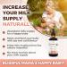 Lactation Supplement: MILK APLENTY - Boost Your Milk Supply Naturally! Certified Organic Breastfeeding Supplement to Increase Breast Milk Supply. Fenugreek Free All Natural Non-GMO Vegan. Made in Canada (59ml / 2oz) 59 ml (Pack of 1) - Buy Online on GoSupps.com