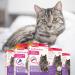 BEAPHAR CATCOMFORT - Electric pheromone diffuser for cats - Reduces stress and unwanted behavior without dependency or drowsiness - 1 plug and 1 refill of 48 ml - Buy Online on GoSupps.com