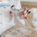 Dr. Brown's 4oz Breastmilk Storage Bottles - Pack of 4 - Buy Online on GoSupps.com