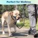 Barkeless Muzzle Bleine for Heavy Pullers | Stylish Halter for Medium & Large Aggressive Dogs | XL Blue - Gentle & Safe Anti-Pull Solution - Buy Online on GoSupps.com