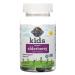 Garden of Life Kids Organic Elderberry with Vitamin C 60 Vegetarian Gummies