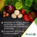 Nature's Plus Source of Life Women Multi-Vitamin & Mineral Supplement - 120 Tablets with Whole Food Concentrates - Buy Online on GoSupps.com