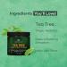 Botanic Hearth Tea Tree Hair Cream - Styling & Texturizing Hair Fiber - Strong Hold, Sulfate Free, Hydrating - for Men and Women - All Hair Types - 7 oz - Buy Online on GoSupps.com