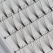 Large Tray 200pcs 8D D Curl 0.07mm Premade Volume Lash Extensions - Soft & Light Individual False Eyelashes (14MM) for Stunning Makeup - Buy Online on GoSupps.com