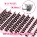 Lash Clusters DIY Individual Eyelashes Extension - Natural Look Wispy Fluffy Lashes - 8-16MM D Curl - JIMIRE Classic Clusters - Buy Online on GoSupps.com