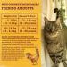 Beyond Grain Free Natural Dry Cat Food Farm-Raised Chicken & Egg - 1.36 kg Bag - Buy Online on GoSupps.com