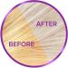 Purple Conditioner for Blonde & Bleached Hair - 500ml Sulfate Free Blue Toner for Platinum & Grey Hair - Best Silver Conditioner - Buy Online on GoSupps.com