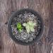 Hisredsun 1kg Clear Glass Stones - 6-9mm Crystal Pebbles for Aquariums Flowerpots Landscaping & Vase Filler - Buy Online on GoSupps.com
