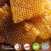 Aries Original Organic Lip Care | Natural Lip Balm for Dry Winter Lips | Stapeler - Buy Online on GoSupps.com
