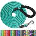 X XBen tow lines for dogs 3m 5m 9m 10m 15m 20m 25m 30m strong dog leash with lockable carabine training line running line for small medium -sized dogs comfortable padded handle 10m x10 mm turquoise