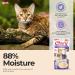 Ciao Churu Sticks by INABA Cat Treat - Chicken & Shrimp Flavour (4 x 14g) / Soft & Creamy Cat Treat Delicious & Healthy Snack Pur e Food Topper Pill Assist Natural Grain Free Chicken & Shrimp 14 g (Pack of 4) - Buy Online on GoSupps.com