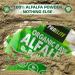 Organic Alfalfa Powder 500g Support Energy and Stress Vegan Keto Green Superfood Supergreen Raw Natural Alfalfa Powder Juice Shots PROELITE - Buy Online on GoSupps.com