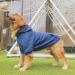 ARUNNERS Extra Large Blue Dog Hoodie Zip Up Sweater for Big Dogs - 5X-Large - Buy Online on GoSupps.com