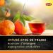 Lipton Th Noir Pack de 4 Boites de th x2 Orange d'Espagne + x2 Bergamote d'Italie 2x40 sachets 80 Sachets - Buy Online on GoSupps.com