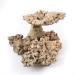 Aquarium Dried Reef Rock Mixed Pack (5kg) 5 kg (Pack of 1) - Buy Online on GoSupps.com
