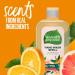 Seventh Generation Mandarin Orange & Grapefruit Hand Soap Refill - 24 Fl Oz (Pack of 3) - Buy Online on GoSupps.com