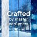 Shop Glade PlugIns Refills Air Freshener Kit – Starlight & Snowflakes Scent 1 Warmer + 2 Essential Oil Refills – International Shipping Available - Buy Online on GoSupps.com
