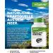 Premium Green Lip Shell 365 Capsules - 600mg High-Dose Green Lipped Mussel Extract from New Zealand - 100% Pure & Additive-Free - Buy Online on GoSupps.com