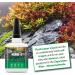 Microbe-Lift Plant Caper 50g - Fast Plant Glue for Aquascaping in Freshwater Aquariums | Ideal for Moss Roots & Plant Attachment - Buy Online on GoSupps.com