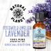 English Cotswold Lavender 15ML Essential Oil - 100% Pure, Undiluted & Therapeutic Grade - Buy Online on GoSupps.com