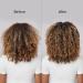 Bio Ionic SMART-X Diffuser - Professional Hair Styling Tool - Buy Online on GoSupps.com