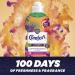 Comfort Creations Passion Bloom Fabric Conditioner 900ml - 100 Days of Freshness - Tropical Scent - 30 Washes (Pack of 1) - Buy Online on GoSupps.com