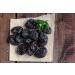  TASTY POTT Tasty Pott Dried Prunes Stone-Free and Additive-Free | Vegan Snack | Dried Fruit | Prunes | For Baking | For Cereals | As a Fruity Snack | Plums | In a 1kg Bag - Buy Online on GoSupps.com