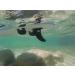 Santa Barbara Surfing SBS 9 iSUP Quick Release Slide-in Fin for Inflatable Paddleboard - Compatible with Aqua Marina, Vilano, and More - Buy Online on GoSupps.com