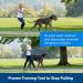 PetSafe Gentle Leader Headcollar - Black Medium No-Pull Dog Collar - Buy Online on GoSupps.com