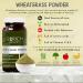Wheatgrass Powder 100g - Rich in Vitamin C & E | Antioxidant & Detox Superfood for Body & Skin - Buy Online on GoSupps.com