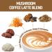 Om Mushroom Superfood Coffee Latte Blend Mushroom Powder Single Serve 10 Count Lion's Mane Cordyceps Reishi Chaga Energy & Mental Clarity Support Supplement (Pack of 2) - Buy Online on GoSupps.com